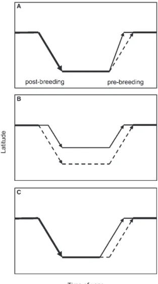 Fig. 2 Schematic representation of the three basic behavioral mechanisms controlling the timing of protandrous spring arrival: