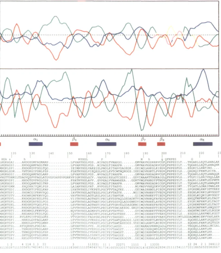 Fig. 1. Joint prediction of average secondary structure of the G-Iype GAT. Section of aligned sequences
