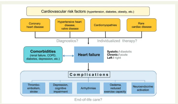 Figure 1 Patients may develop heart failure on the basis of various cardiovascular risk factors and heart diseases