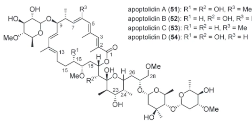 Fig. 2 Structures of apoptolidins.