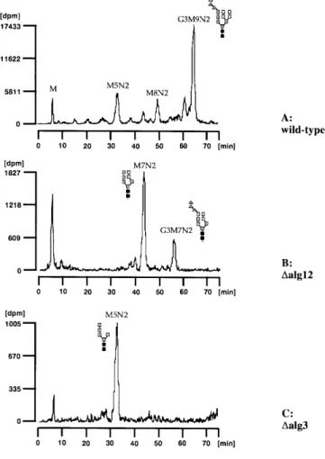 Fig. 3. Analysis of lipid-linked oligosaccharides of the ∆alg12 mutant strain FHEN005–02C(A)