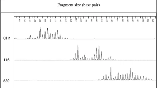 Fig. 1. Fragment size analyses of the EmsB target, realized on DNA samples of E. multilocularis from Switzerland (CH1), E