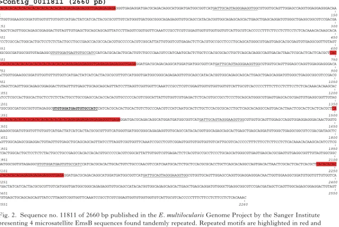 Fig. 2. Sequence no. 11811 of 2660 bp published in the E. multilocularis Genome Project by the Sanger Institute presenting 4 microsatellite EmsB sequences found tandemly repeated