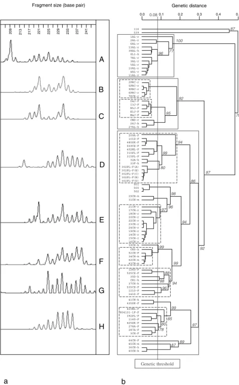 Fig. 3. E. multilocularis genetic classiﬁcation according to EmsB results. On the left side (a), example of