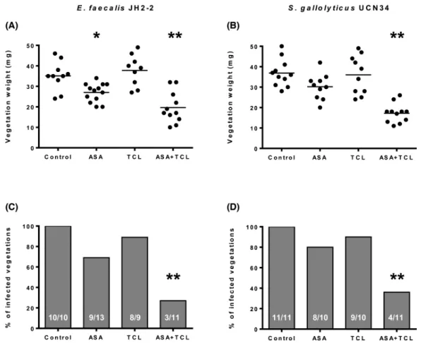 Figure 1. Effect of prophylaxis with aspirin (ASA) and ticlopidine (TCL), alone or in combination, on both the weight of vegetations (A and B) and the prevention of experimental endocarditis (C and D) induced by E
