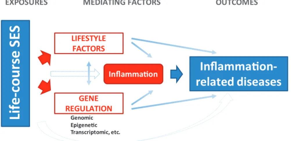 Figure 1. Theoretical framework of our study. Life-course socioeconomic status (SES) is associated with inflammation-related diseases
