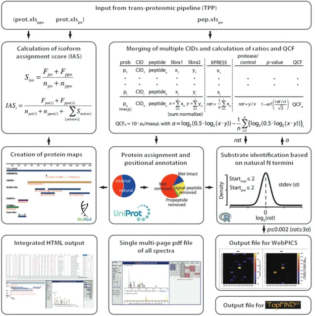 Figure 1    Overview of the CLIPPER analysis pipeline. 
