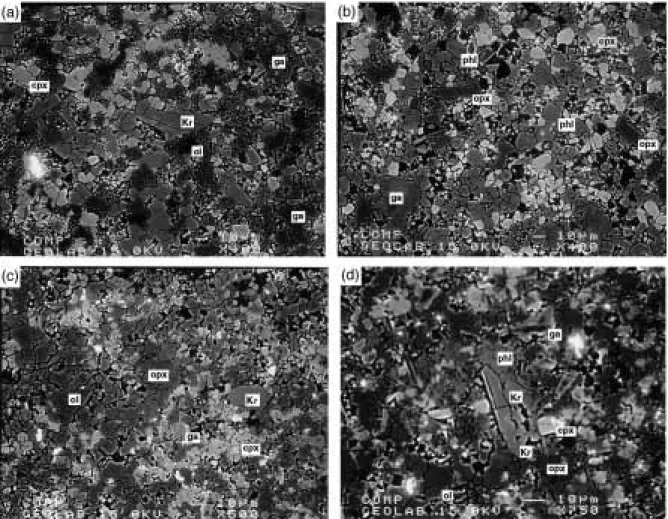 Fig. 2. Back-scattered electron photomicrographs of experimental charges from simplified and natural bulk compositions