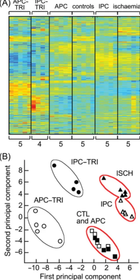 Figure 1 Transcriptome proﬁles of isolated beating rat hearts after con- con-ditioning trigger alone and after test ischaemia