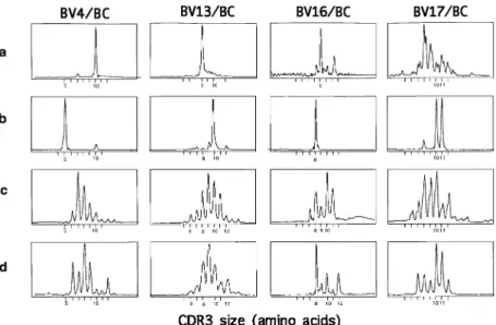 Fig. 4. Dramatic modifications in the CDR3 size distribution patterns of tumor BV–BC run-off products after MLTC (RCC patient 1)