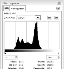 Figure 2. Method of quantifying deviation from a straight line. Viewing the keel with the ventral surface facing towards the observers (where the ventral surface is represented by the solid line), software can be used to calculate the area or number or pix