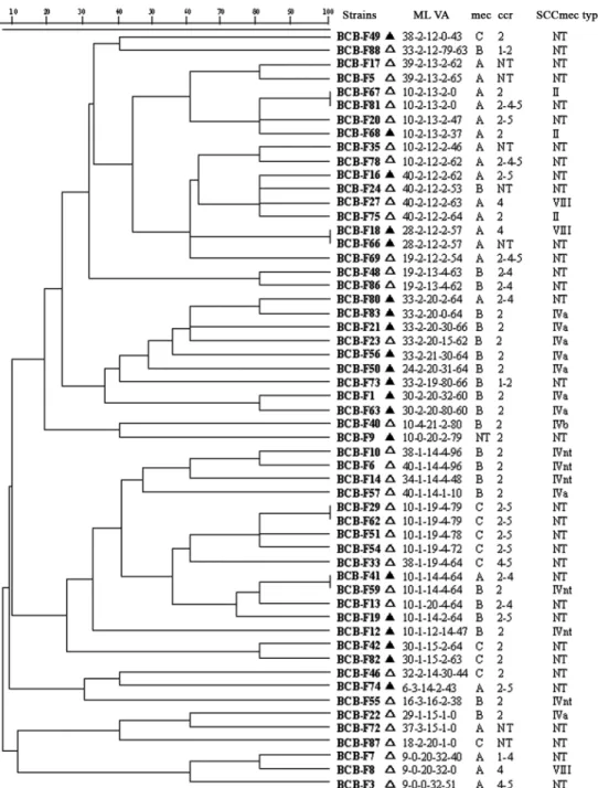 Figure 1. Genetic relationship of multiple-locus variable-number tandem repeat analysis (MLVA) patterns for methicillin-resistant Staphylococcus epi- epi-dermidis (MRSE) strains, as implemented by the BioNumerics software (version 6.0; Applied Maths)