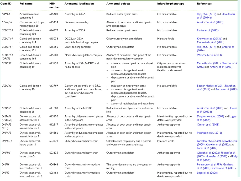 Table VI Primary ciliary dyskinesia gene mutations and their consequences for axonemal ultrastucture and sperm phenotype.