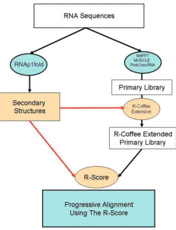Figure 2. Example alignment output. This colored output was generated by aligning tRNA-aln4 from the BRAliBase benchmark using R-Coﬀee slow/accurate mode