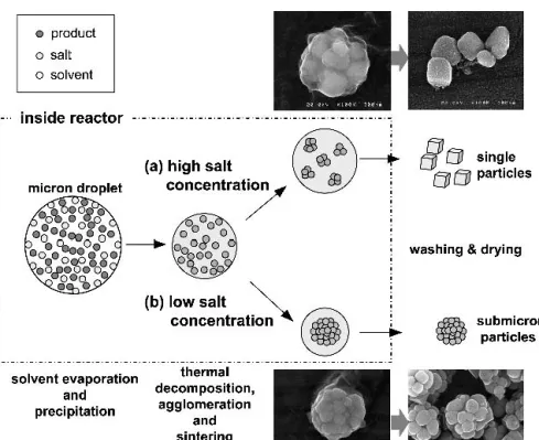 FIG. 6. Effect of the residence time on the morphology of BaTiO 3 particles; (a) 1 zone (20 cm), 1 l/min, solution concentration (P) ⳱ 0.05 mol/l, salt concentration (S) ⳱ 0.20 mol/l; (b) 2 zones (40 cm), 1 l/min, P ⳱ 0.05 mol/l, S ⳱ 0.20 mol/l; (c) 5 zone