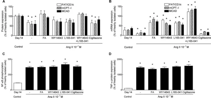 Figure 6 Activation of PPARa and PPARb/d, but not of PPARg, increased protein and mRNA expression of regulatory proteins of fatty acid oxidation without reduction of TNF-a