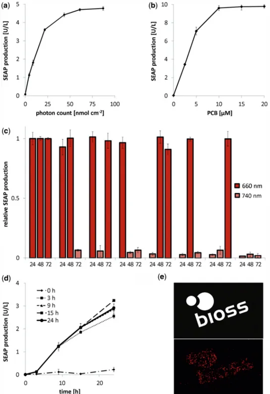 Figure 2. Detailed characterization of red light-inducible gene expression. (a–d) 70 000 CHO-K1 cells were transfected with the red light-inducible SEAP expression system (plasmids pKM006 and pKM022)