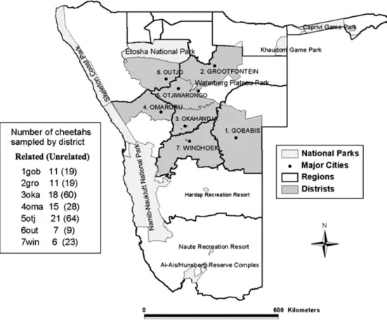 Figure 1. Map of Namibia with the 7 geopolitical regions and the number of cheetahs sampled from each area