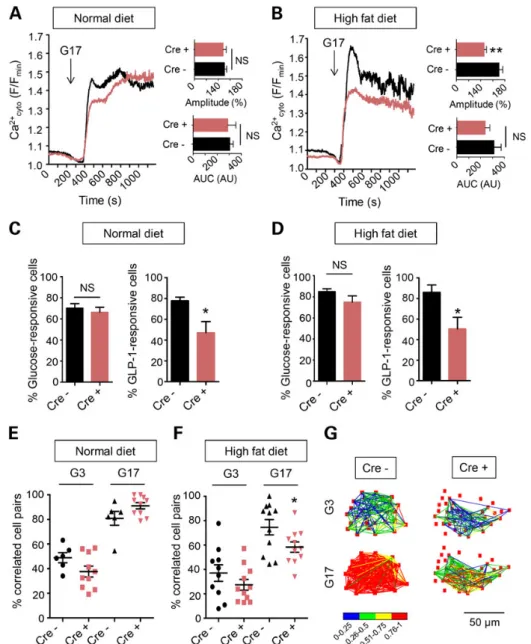 Figure 3. Impact of Tcf7l2 deletion on intra- and inter-cellular Ca 2+ dynamics. (A and C) Responses to glucose (17 m  ; G17) or GLP-1 (100 n  ) of β cells within intact islets of Tcf7l2 ﬂ/ﬂ ::Ins1.Cre + (red) and Tcf7l2 ﬂ/ﬂ ::Ins1.Cre − (black) mice mai
