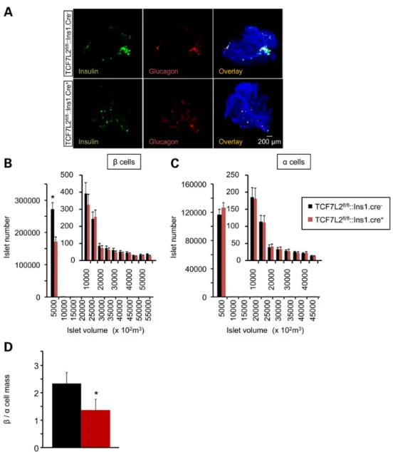 Figure 4. Impact of Tcf7l2 deletion on β and α cell mass. (A) Representative 3D images from OPT (see Material and Methods) of Tcf7l2 ﬂ/ﬂ ::Ins1.Cre + and Tcf7l2 ﬂ/ﬂ ::Ins1.Cre − pancreata labelled with anti-insulin and anti-glucagon primary antibodies, and