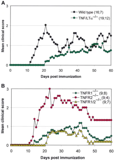 Fig. 1 Clinical course of MOG-induced EAE from wild-type, TNF/LT- α –/– , TNFR1 –/– , TNFR2 –/– and TNFR1/TNFR2 –/– mice