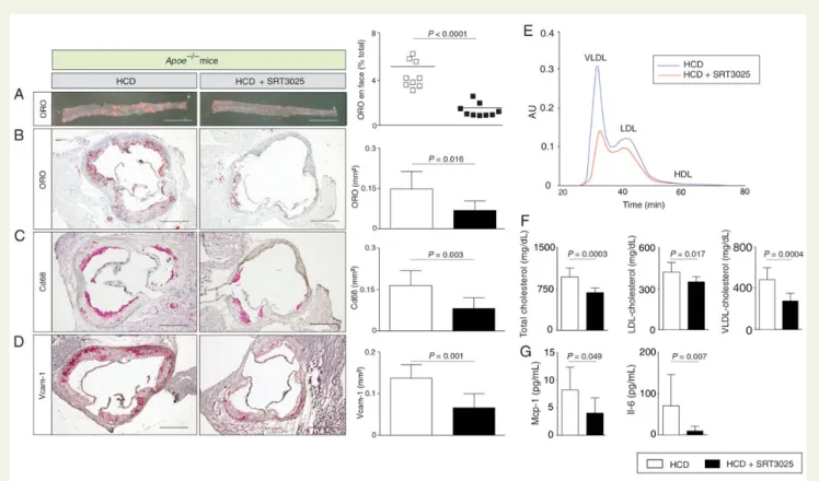 Figure 1 SRT3025 confers atheroprotection, reduces plasma cholesterol and systemic inflammation in Apoe 2/2 mice