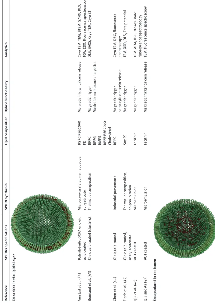 Table 1 Magnetoliposomes: SPION synthesis, surface specifications, lipid composition, functionality and analytical methods used to characterize the hybrid