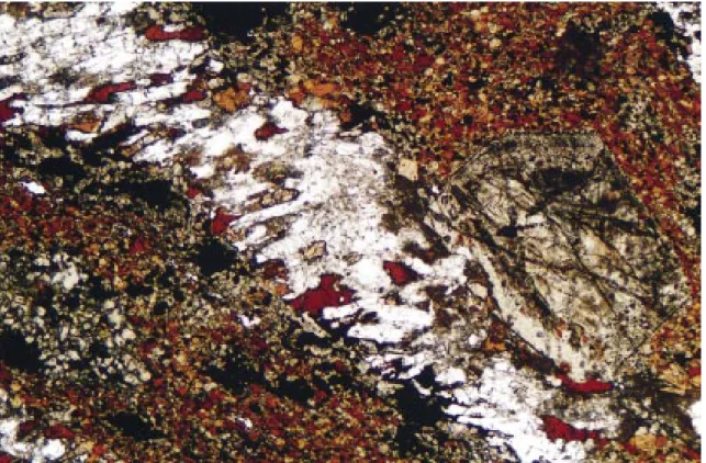 Fig. 3. Photomicrograph of a migmatite. Plagioclase forms a comb-like texture in the vein with some clinopyroxene, kaersutite and interstitial Fe–Ti oxides