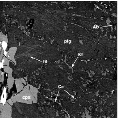 Fig. 5. Back-scattered electron image of a leucosome at the contact of a melanosome. Length of picture is 600 l m