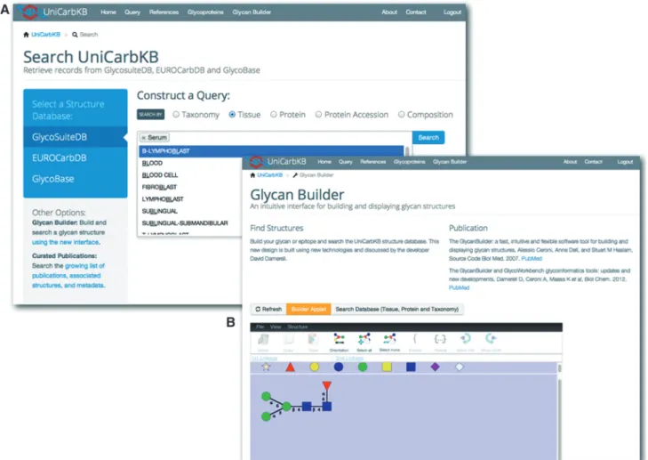 Figure 1. UniCarbKB offers a number of improved query interfaces. (A) Users can search the database content by monosaccharide composition, attached protein, taxonomy or tissue by using an auto completion feature