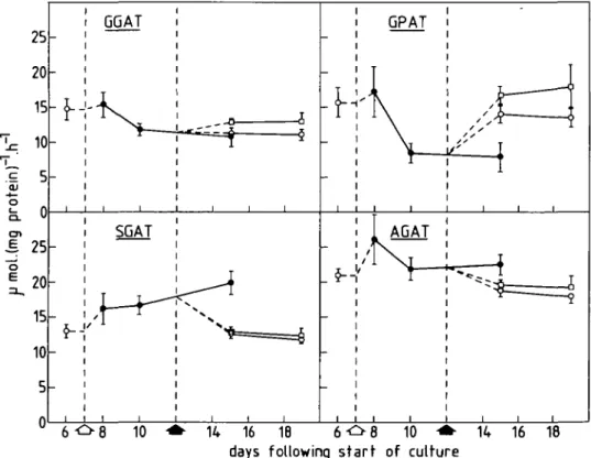 FIG. 3. Timecourse showing the effects of nitrogen starvation and its subsequent replenishment on specific activities of L
