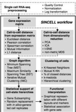 Fig. 1. Overall workflow for the statistical assessment of cell-state hierarchies implemented by the Sincell R package