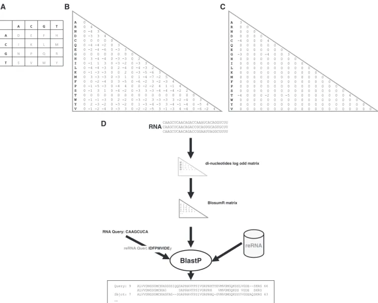Figure 1. (A) Recoding scheme. The table shown represents the di-nucleotide to amino acid symbol recoding scheme