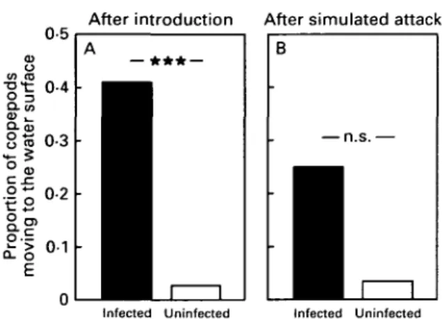 Fig. 7. Proportion of infected and uninfected copepods that moved to the water surface (A) after being pipetted to a tank, (B) after a simulated stickleback attack; ***