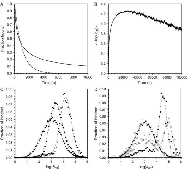 Fig. 4. Simulation of off-rate selection experiments. (A) During a selection experiment the binders dissociate from the biotinylated antigen
