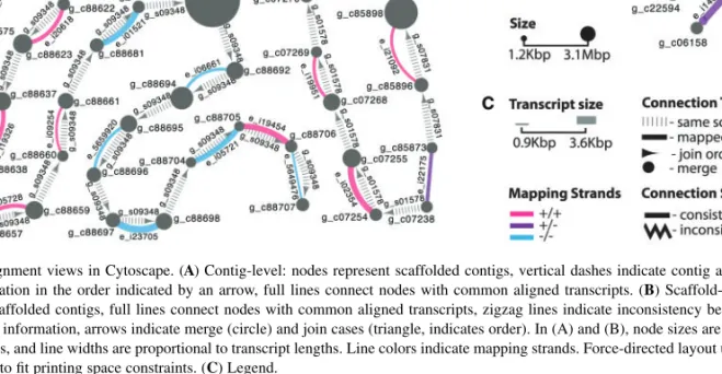 Fig. 1. Global alignment views in Cytoscape. (A) Contig-level: nodes represent scaffolded contigs, vertical dashes indicate contig adjacency according to scaffolding information in the order indicated by an arrow, full lines connect nodes with common align
