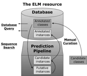 Figure 5. Schema of the ELM resource and data life cycle. Annotated ELM classes, and instances thereof, can be searched by database query.