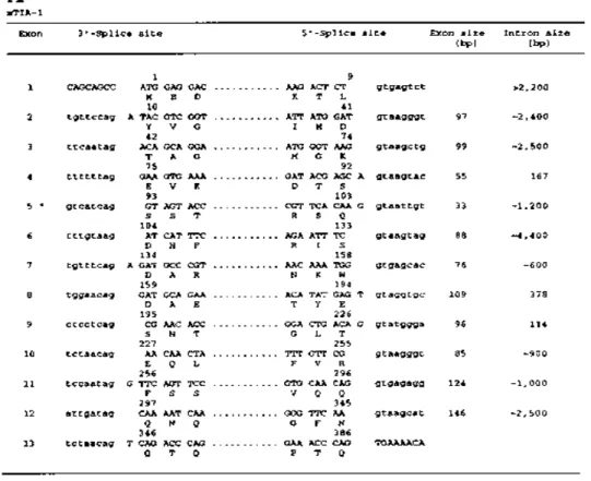 Figure 5. Exon–intron junctional sequences of the mTIA-1 and mTIAR genes. The nucleotide sequences flanking the 3′- and 5′-splice sites of the (A) mTIA-1 and (B) mTIAR genes are shown