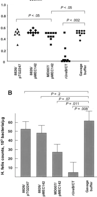 Figure 5. Evaluation of protection against Helicobacter felis infection.