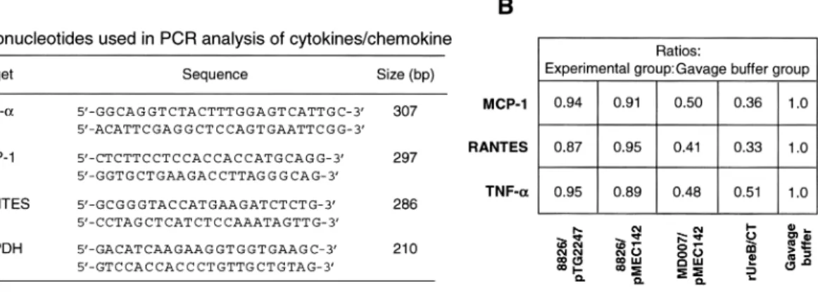 Figure 6. A, Sequences of primers used for real-time polymerase chain reaction (RT-PCR) amplification: tumor necrosis factor (TNF)–a, monocyte chemoattractant protein (MCP)–1, RANTES, and glyceraldehyde 3-phosphate dehydrogenase (GAPDH)