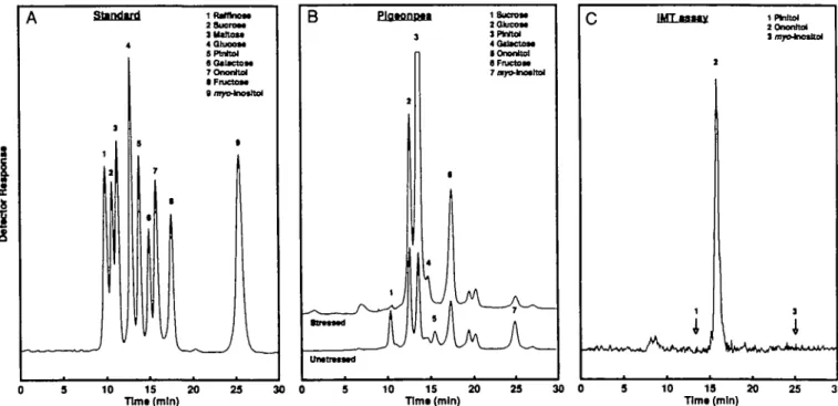 FIG. 3. HPLC chromatograms of carbohydrates found in pigeonpea leaves and identification of the neutral product of the IMT assay, (A) Standard;