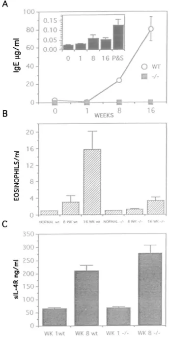 Fig. 3. Cytokine mRNAs, identified using RT-PCR in the livers of unmfected mice (Norm) and mice infected for 16 week (Inf) Results from two wild-type and two IL-4  - / - mice are shown for each time point