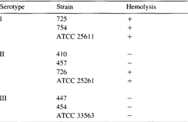 Table  1  shows  the  relation  between  ribotypes  and  serotypes  of  the  62  strains