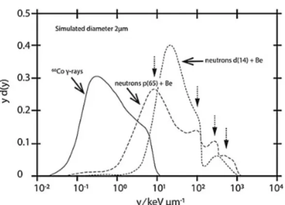 Figure 4. Comparison of the microdosimetric spectra y d(y) vs. y obtained for 60 Co g rays, d(14) þ Be neutrons and p(65) þ Be neutrons, i.e