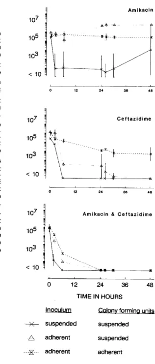 Figure 3. Effect of amikacin administered once (thick .lines) or trice daily (thin lines) against Pseudomonas aeruginosa 27853 in one-compartment in vitro model