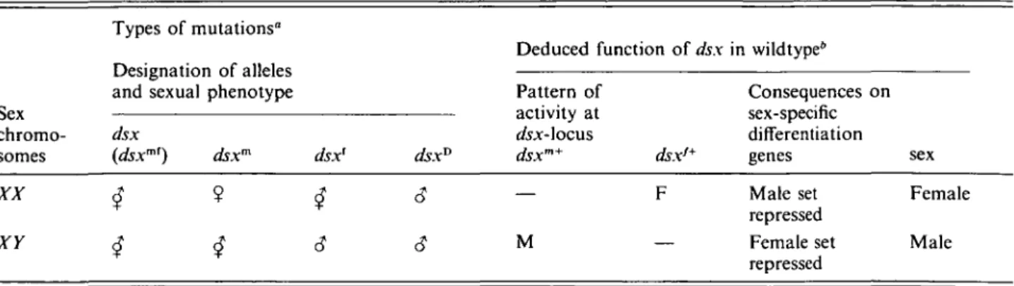 Table 3. The dsx-locus. Sex  chromo-somes XX XY Types of mutations&#34; Designation of alleles and sexual phenotypedsx(dsx&#34;&#34;) dsxm$ ? £ $ dsx'$ dsx D6 Deduced function of dsxPattern ofactivity atdsxAocusdsxm*Mdsx'*F in wildtype* Consequences onsex-