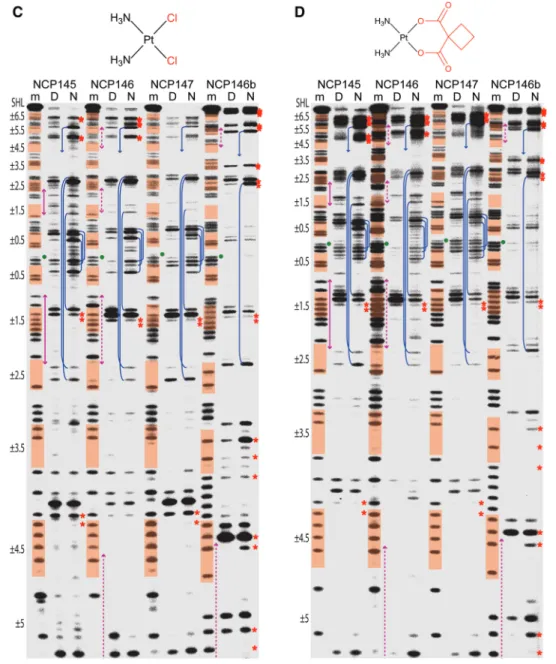 Figure 4. Continued
