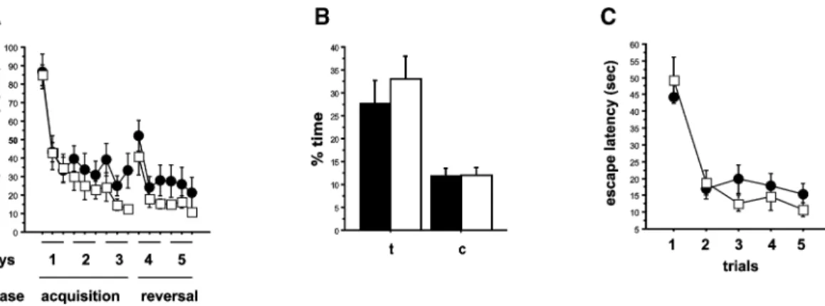 Figure 5. Spatial memory and episodic-like memory in the Morris water maze. (A) Pooled results obtained from 129B6D2 and 129B6 mice from the F2 and F3 generations (KO, n ¼ 40; WT, n¼ 43) in the standard version of the vater maze