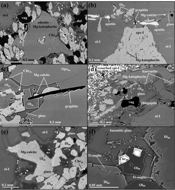 Fig. 4. Back-scattered electron images showing textural characteristics and relationships between early and late metasomatic assemblages.