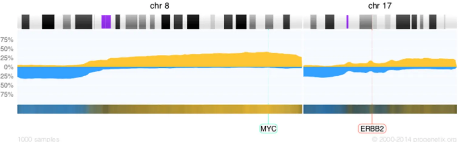 Figure 3. The histogram profile of breast cancer samples focusing on chromosomes 8 and 17 generated by the API, displaying the frequency of copy number gains (up, yellow) and losses (down, blue)